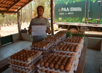 Produtor Cadastrado no PAA realiza entrega de 3 mil ovos ao programa