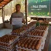 Governo do Tocantins destina R$ 1,5 milhão para PAA Indígena e apoia produtor rural de Pedro Afonso na entrega de 3.000 ovos