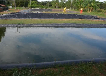 Tanque escavado para demonstração da tecnologia na edição Agrotins 2024