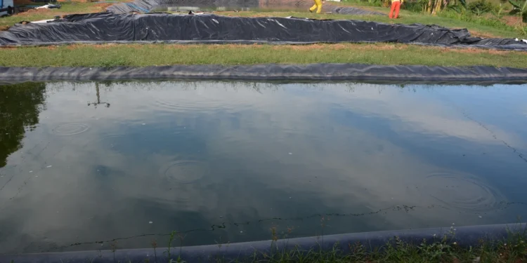 Governo do Tocantins participa de projeto de nutrição e alimentação de tambaquis em viveiros escavados no Estado