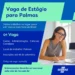 Sebrae Tocantins abre vagas de estágio para estudantes de Administração e Ciências Contábeis