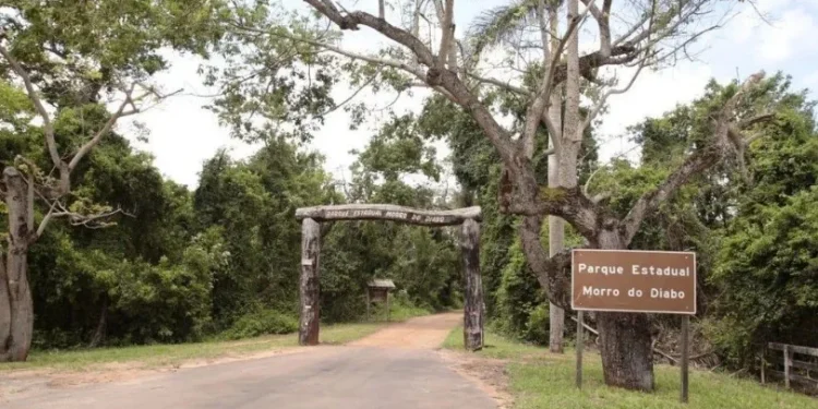 Governo de SP fecha 80 parques por causa de incêndios no estado