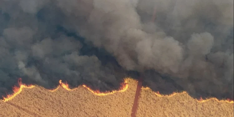 Brasil registrou quase 70 mil focos de queimadas em agosto