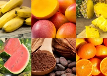 Rota da Fruticultura em Miracema