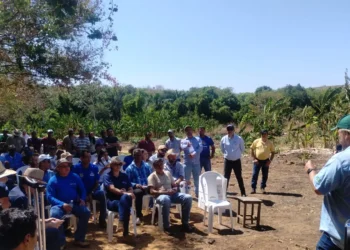 Rota da Fruticultura em Miracema é considerada um sucesso