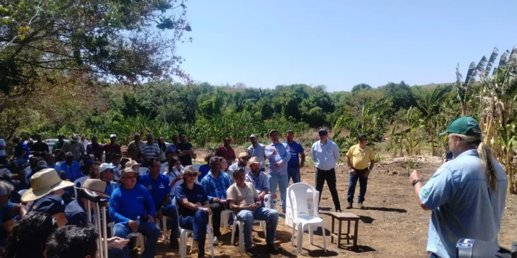 Rota da Fruticultura em Miracema é considerada um sucesso