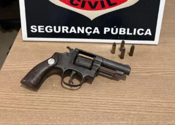 Além da posse ilegal da arma, a polícia está investigando outros crimes relacionados ao caso - Foto: Divulgação/PC-TO