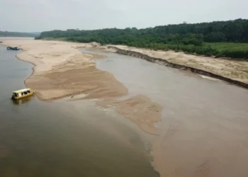 Seca em Pauini, cidade do Amazonas, em setembro de 2024. • Defesa Civil Pauini