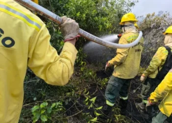 O Brasil enviou combatentes para uma missão humanitária na Bolívia, com o objetivo de conter os incêndios florestais que ocorrem em regiões fronteiriça • Ibama
