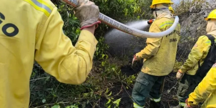 Brasil envia bombeiros para combater incêndios florestais na fronteira com Bolívia