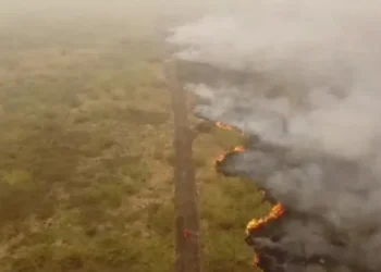 As safras vem sendo afetadas pela combinação da seca e diversos focos de incêncio por todo o Brasil. A atual onda de calor é a mais intensa da história, segundo Cemaden • Reuters