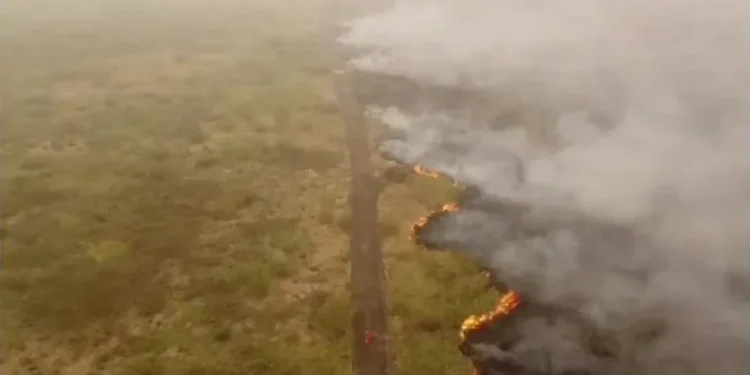 As safras vem sendo afetadas pela combinação da seca e diversos focos de incêncio por todo o Brasil. A atual onda de calor é a mais intensa da história, segundo Cemaden • Reuters