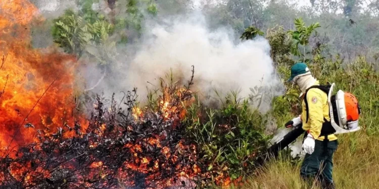 Forças Federais e Estaduais se unem para combater queimadas na ilha do Bananal; Claudia Lelis parabeniza ação do Governo e Exército