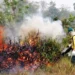 Forças Federais e Estaduais se unem para combater queimadas na ilha do Bananal; Claudia Lelis parabeniza ação do Governo e Exército