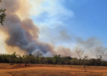 Fogo destruiu 1,2 mil hectares de vegetação no Parque Nacional de Brasília • CNN Brasil