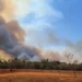 PF abre inquérito para apurar incêndio no Parque Nacional de Brasília