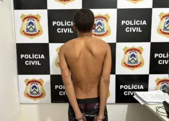 Homem foi preso em cumprimento a mandado de prisão preventiva. Foto -DICOM SSP TO