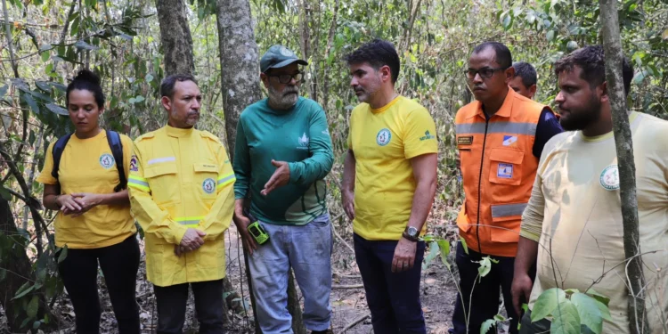 Gestores ambientais visitam Parque Estadual do Cantão e reforçam ações de combate aos incêndios florestais