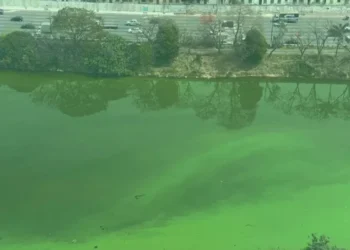 Rio Pinheiros fica verde na manhã desta segunda-feira (9), na zona Oeste de São Paulo. • Reprodução