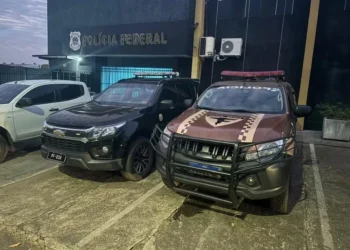 Operação Regresso, organizada pelo Gaeco com participação de várias forças policiais — Foto: Gaeco/MPTO/Divulgação