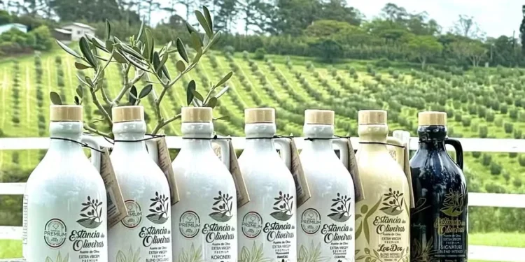 Azeite vencedor usa azeitonas da Espanha e Grécia — Foto: Divulgação