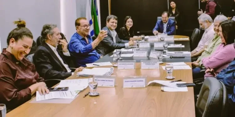 Membros do Conselho de Desenvolvimento Econômico do Tocantins em reunião (Foto: Divulgação/Secom)