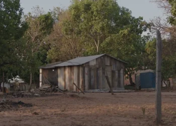 Setor tem casas em madeira e muito abandono e descaso do poder público municipal