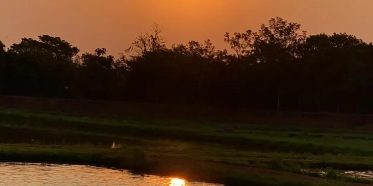 Dia 25: Embrapa promove Fórum Aquicultura 4.0