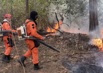 Combate ao fogo no Parque Estadual do Cantão é feito por bombeiros militares - Foto Soldado Thiago Baltazar dos Santos.Governo do Tocantins