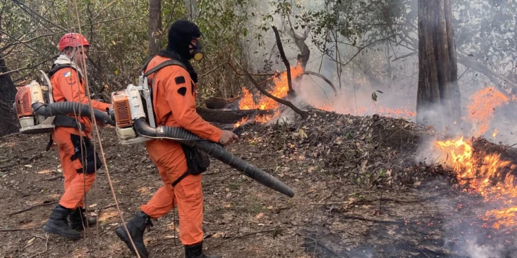 Governo do Tocantins reforça combate aos incêndios florestais no Cantão e Jalapão