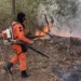 Governo do Tocantins reforça combate aos incêndios florestais no Cantão e Jalapão