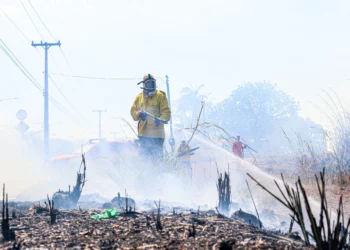 Operação Tocantins Mais Verde teve ação direta dos brigadistas nos combates aos incêndios florestais