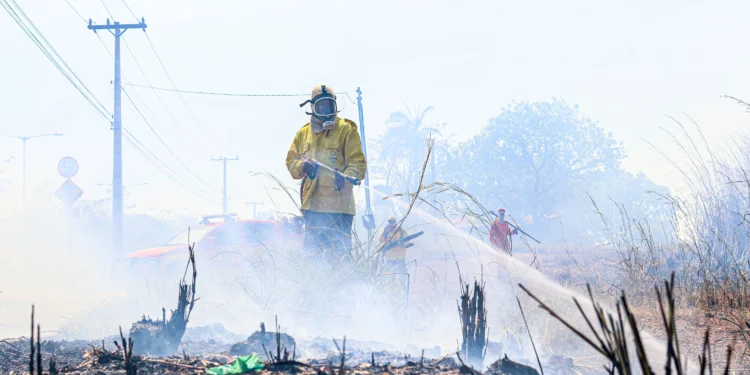 Operação Tocantins Mais Verde teve ação direta dos brigadistas nos combates aos incêndios florestais