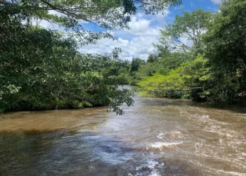 As condições meteorológicas da última semana registraram maiores índices de precipitação de chuva nas regiões norte e central do Estado_Foto Rogério Noleto-Governo do Tocantins