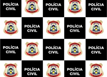Investigações foram realizadas pela 64ª DP de Dois Irmãos Crédito -Foto -DICOM SSP TO