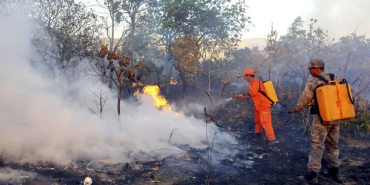Novo relatório climático do Governo do Tocantins revela diminuição de 79% na taxa de crescimento dos focos de queimadas em comparação com a semana anterior