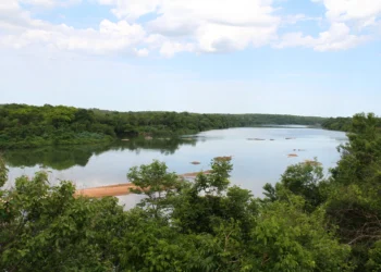 Boletim confirma a tendência de chuvas irregulares, elevação de temperatura, redução da umidade do ar e aumento de focos de queimadas_Foto Fernando Alves-Governo do Tocantins