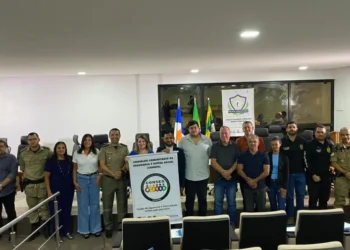 Conselho foi empossado neste ano ano pela Diretoria de Polícia Comunitária/Divulgação SSPTO