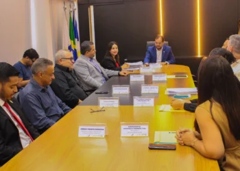 Os empreendimentos beneficiados devem injetar R$ 427.714.648,34 na economia tocantinense e gerar mais de 250 empregos. - Foto: Matheus Alcantara/Governo do Tocantins