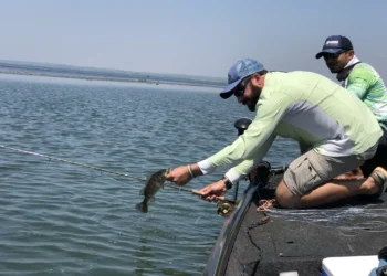 (Crédito Flávio Cavalera/Governo do Tocantins) - Capacitação visa a melhoria na qualidade dos serviços prestados dentro do Estado