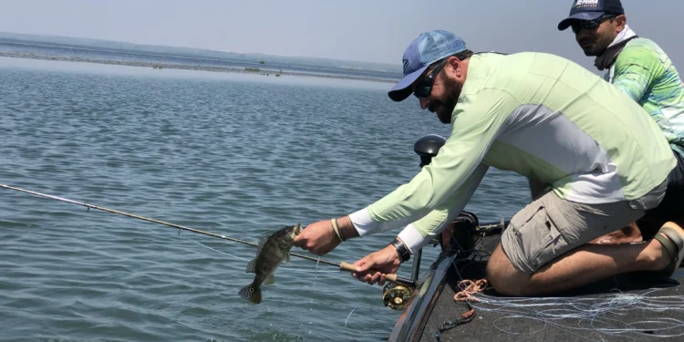 Governo do Tocantins promove curso de qualificação para condutor de pesca esportiva