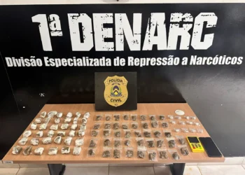 Na busca pessoal e veicular, foi encontrada uma bolsa com porções de maconha, skank e 'ice' (maconha saborizada) - Foto: Alessandro Ferreira/Agência Tocantins