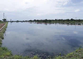 A gestão de redes de esgoto está enquadrada entre as atividade potencialmente poluidoras