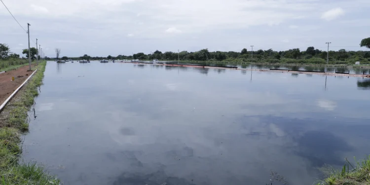 Acordo de cooperação técnica entre Ibama e Naturatins otimiza gestão integrada de atividades potencialmente poluidoras