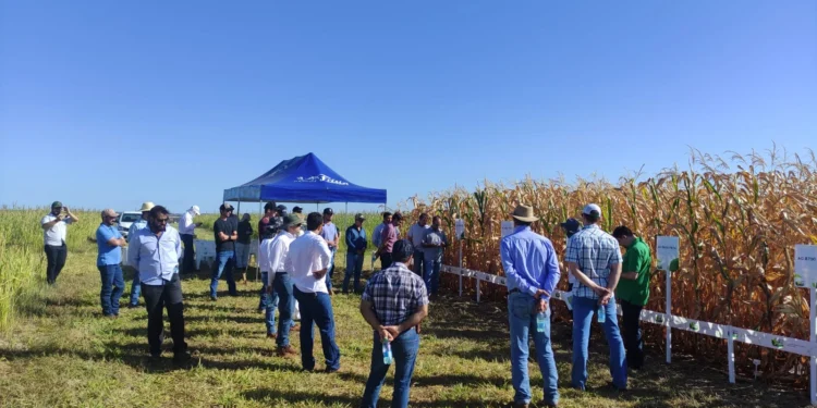 Frísia realiza o 5º Show Tecnológico do Cerrado em janeiro de 2025