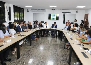 Encontro reuniu representantes de instituições governamentais e órgãos de controle, com o objetivo de alinhar o entendimento sobre as salvaguardas -Marcel de Paula/Governo do Tocantins