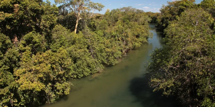 Com
 atualização semanal, o boletim reúne dados do Monitoramento Climático, Monitoramento de Focos de Queimadas e Monitoramento Hídrico do Nível dos Rios - Foto: Fernando Alves/Governo do Tocantins