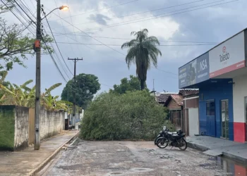 Chuva forte causa estragos em Miracema.
