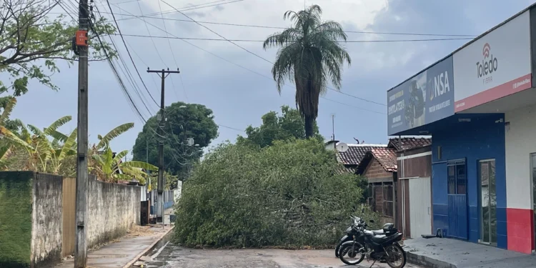 Chuva forte causa estragos em Miracema.