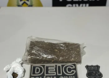 PC apreendeu meio kg de maconha/Divulgação SSP TO